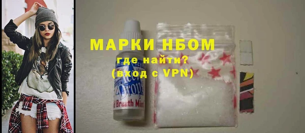 гашик Арсеньев