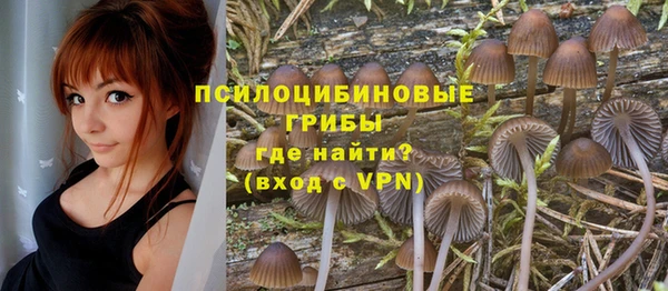 прущий лед Армянск