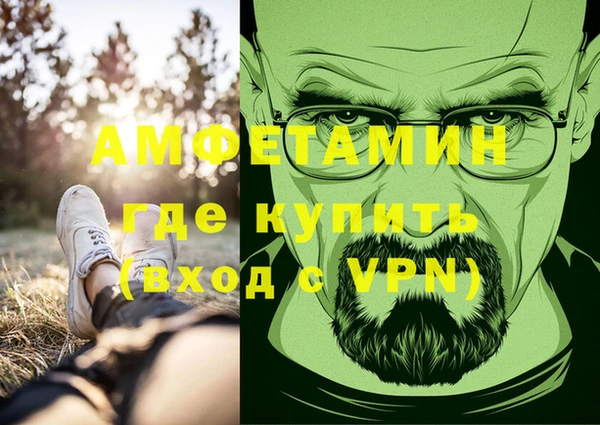 хмурый Алзамай