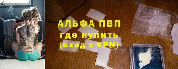 гашик Арсеньев